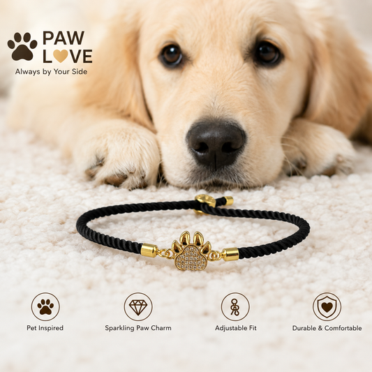 Gold Paw Print Bracelet, Sparkling CZ Charm, Adjustable Black Cord, Pet Lover Jewelry